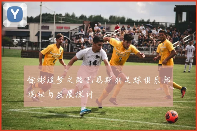 徐彬追梦之路巴恩斯利足球俱乐部现状与发展探讨